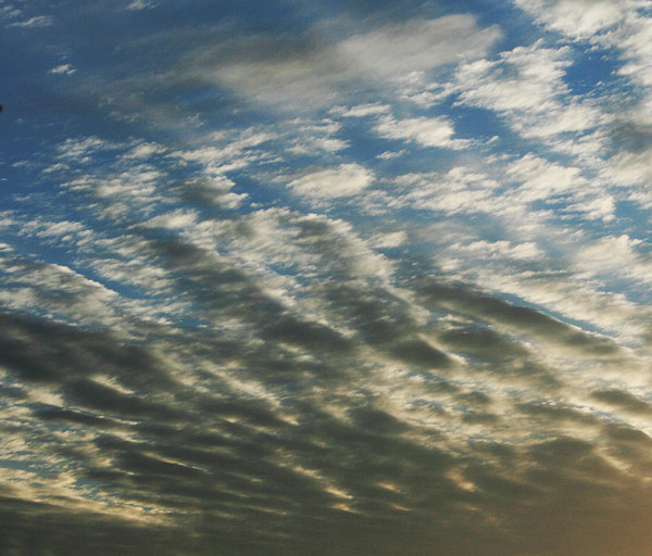 Altocumulus