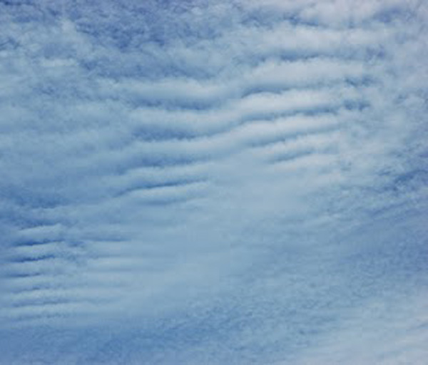 Cirrocumulus