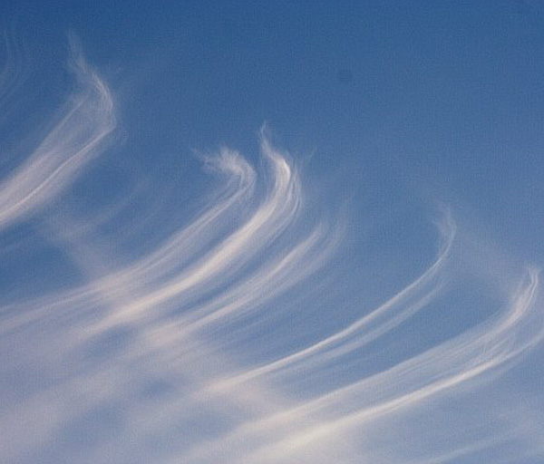 Cirrus