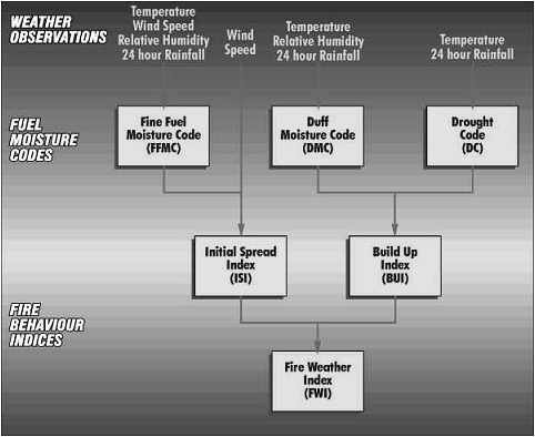 FWI-Process